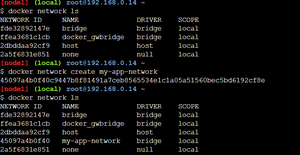 Creating a Network in Docker and Connecting a Container to That Network ...