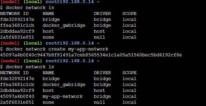 Creating a Network in Docker and Connecting a Container to That Network ...