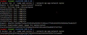 Creating a Network in Docker and Connecting a Container to That Network ...
