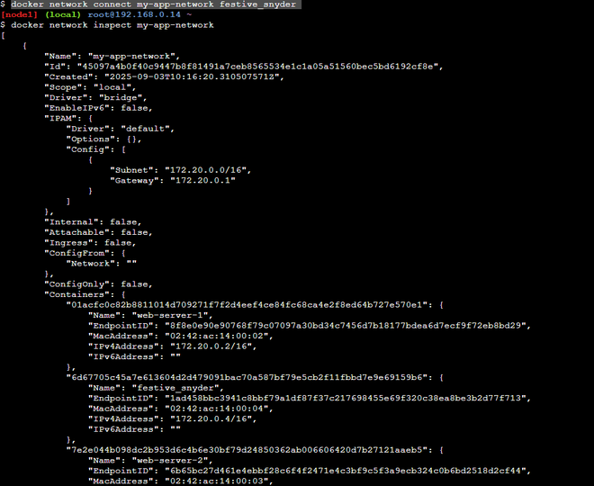 Creating a Network in Docker and Connecting a Container to That Network ...