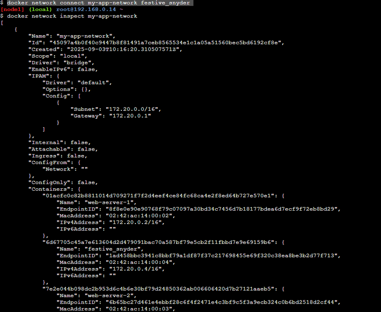 Creating a Network in Docker and Connecting a Container to That Network ...