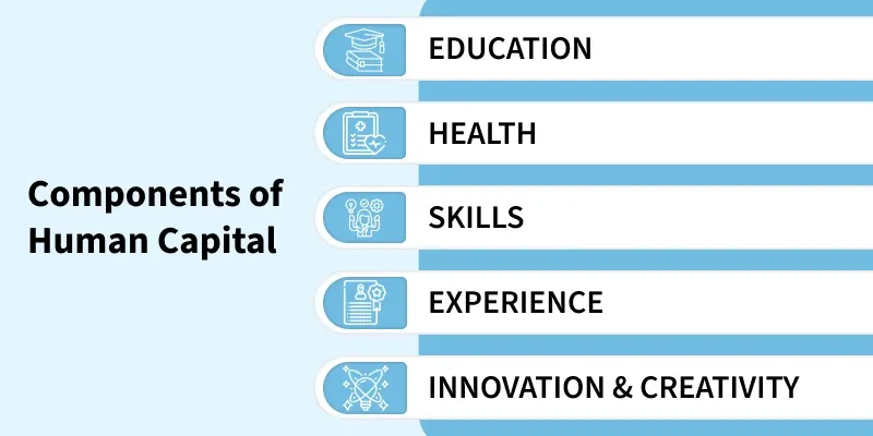 components_of_human_capital