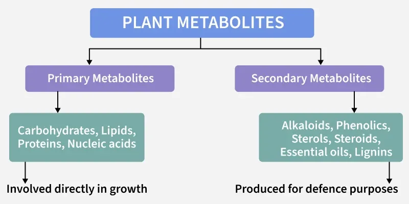 plant_metabolites