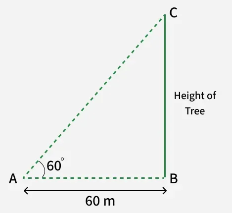 trigno_4