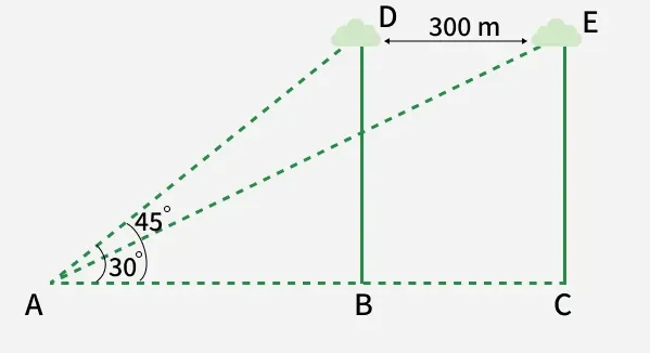 trigno_5