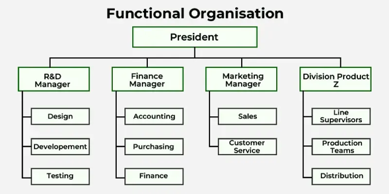 Functional-Organization-copy