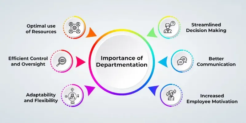 Departmentation: Meaning, Process, Need, and Importance - GeeksforGeeks