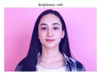 OpenCV | Understanding Brightness in an Image - GeeksforGeeks