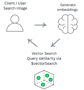 How to Search Images or Text with MongoDB’s Vector Tools - GeeksforGeeks