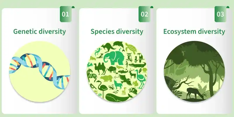 biodiversity