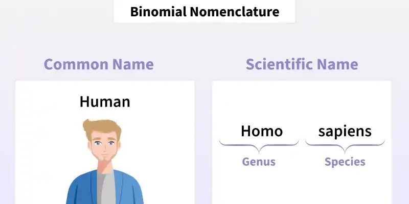 binomial_nomenclature2