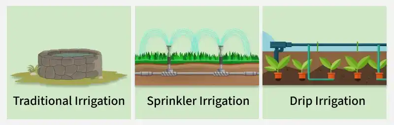 irrigation