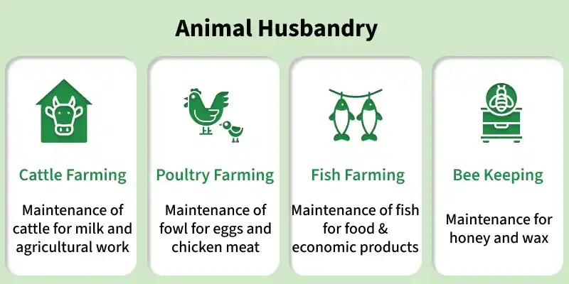 animal_husbandry