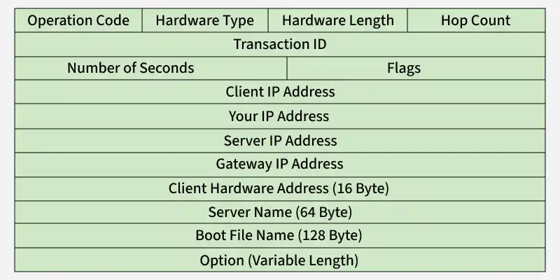 dhcp_packet_format