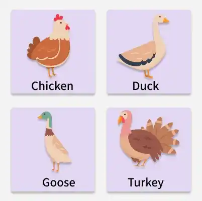 poultry