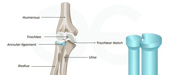 Pivot-Joint2