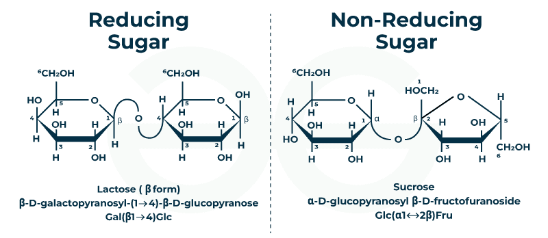 Reducing-and-non-reducing-sugar2