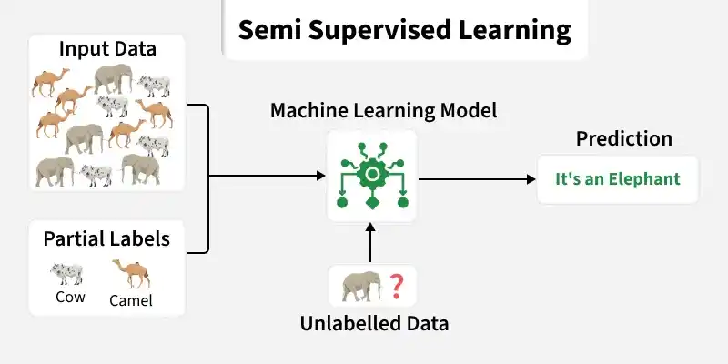 semi_supervised_learning