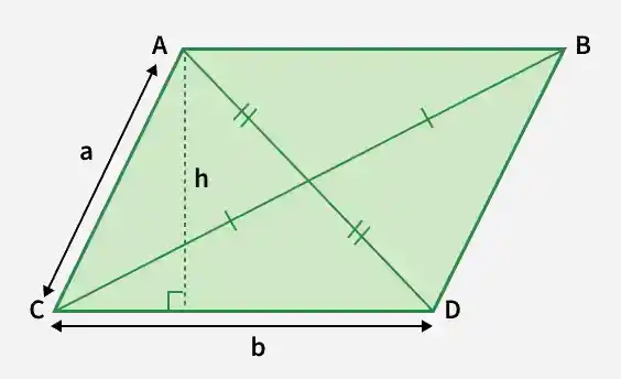 parallelogram