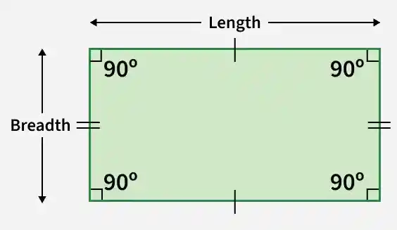 rectangle