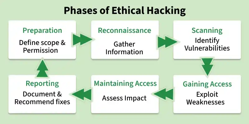 working_of_ethical_hackers_1