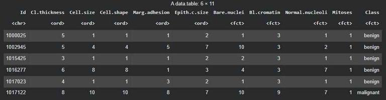Deep Learning in R Programming - GeeksforGeeks