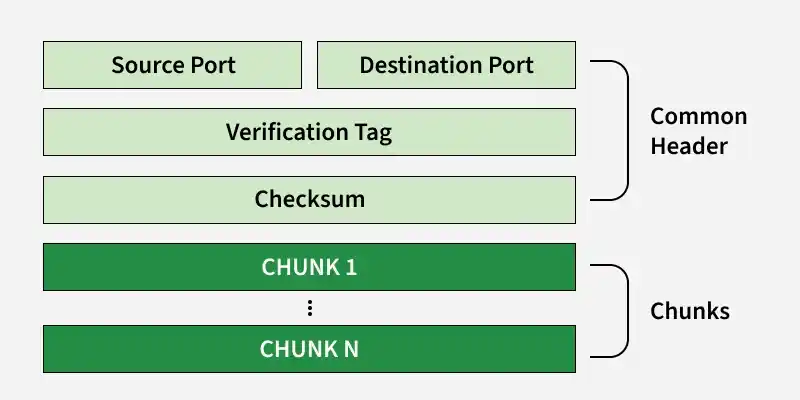 sctp_packet