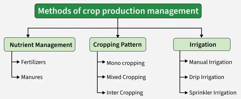 methods_of_crop_production_management