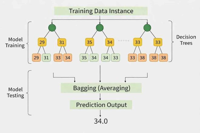 Random Forest Regression in Python - GeeksforGeeks