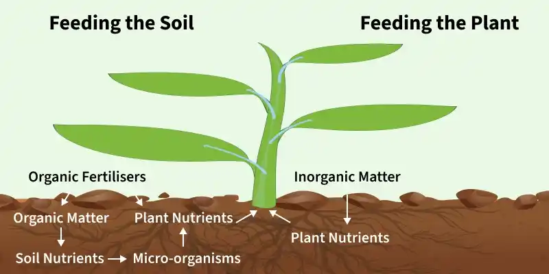 feeding_the_soil