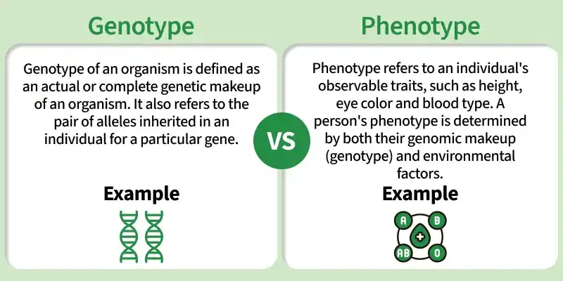 genotype