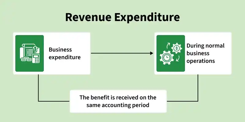 revenue_expenditure