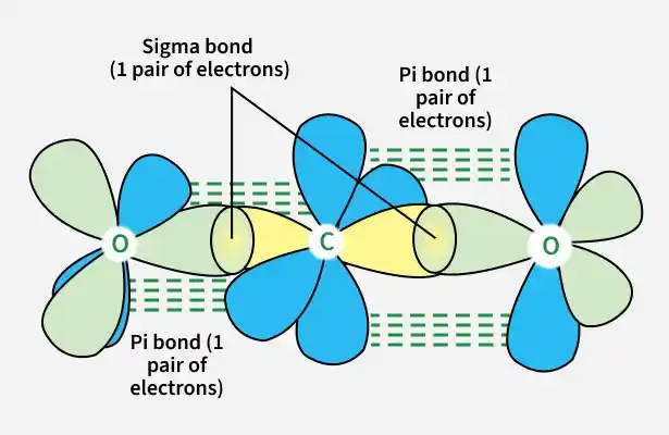 _1_pair_of_electrons_