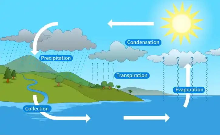 water_cycle