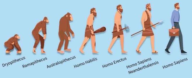 Humans Evolution Is Human Evolution - GeeksforGeeks