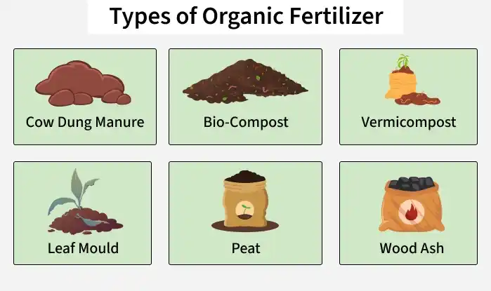 types_of_organic_fertilizer