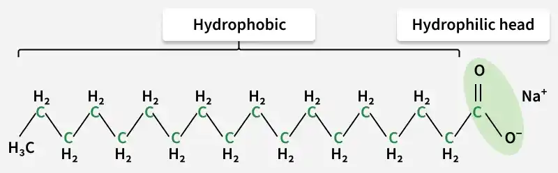 structure_of_soap