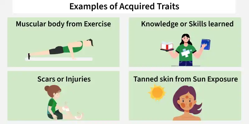 examples_of_acquired_traits