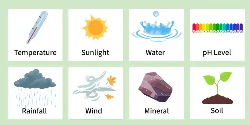 abiotic