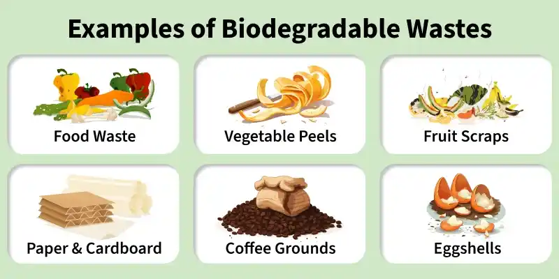 examples_of_biodegradable_wastes
