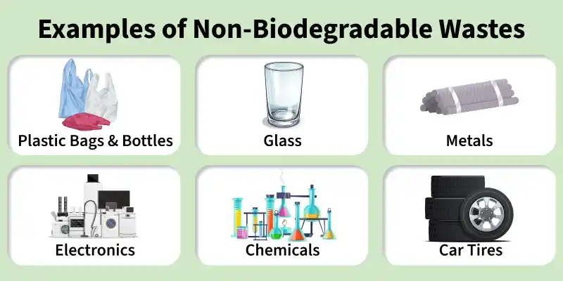 examples_of_non_biodegradable_wastes