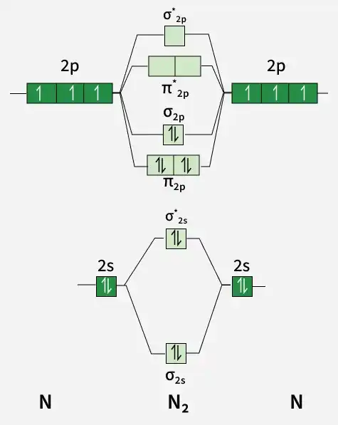 n2_mot