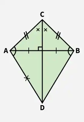 kite