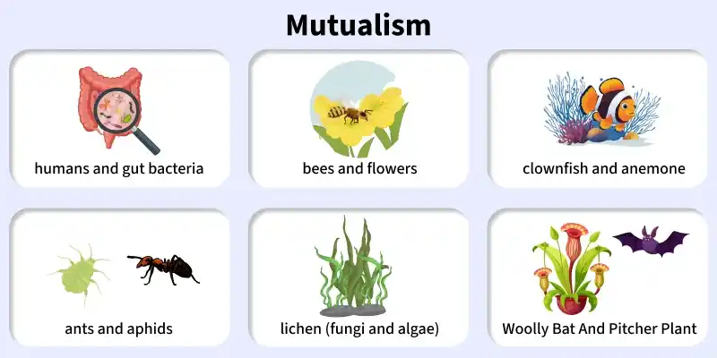 mutualism