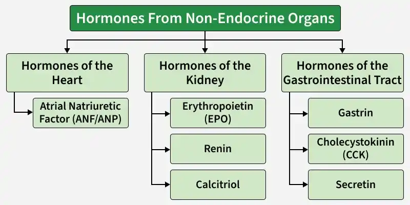 hormones_from_non_endocrine_organs-