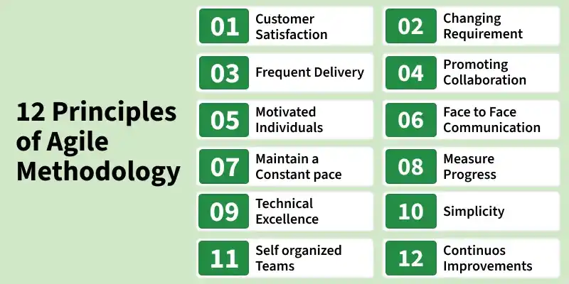 12_principle_of_agile_methodology