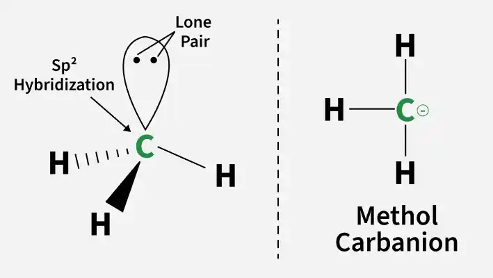 methol_carbanion