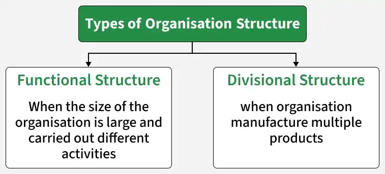 types_of_organisation_structure