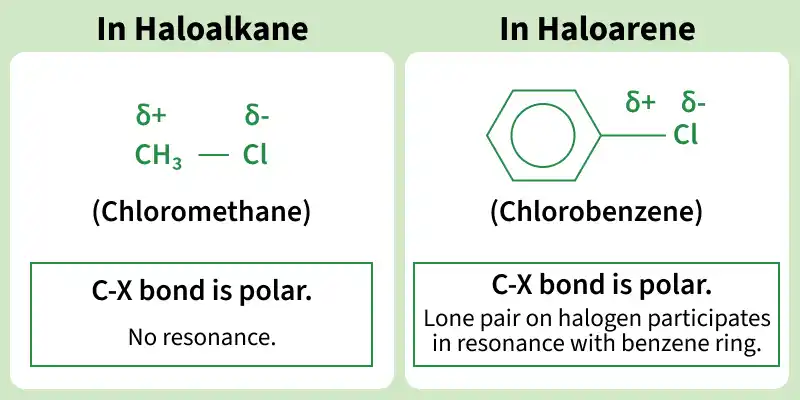 in_haloalkane