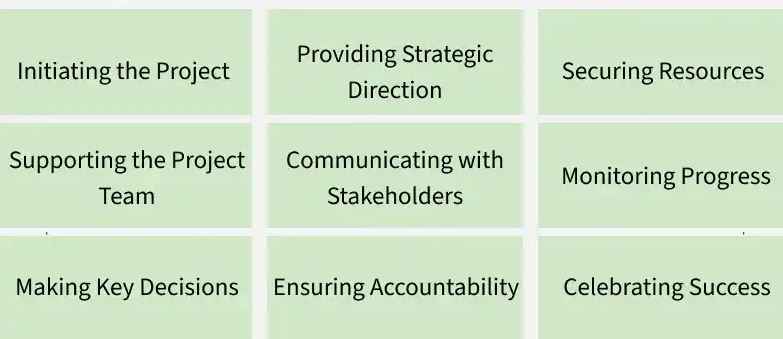 responsibilities-project-sponsor